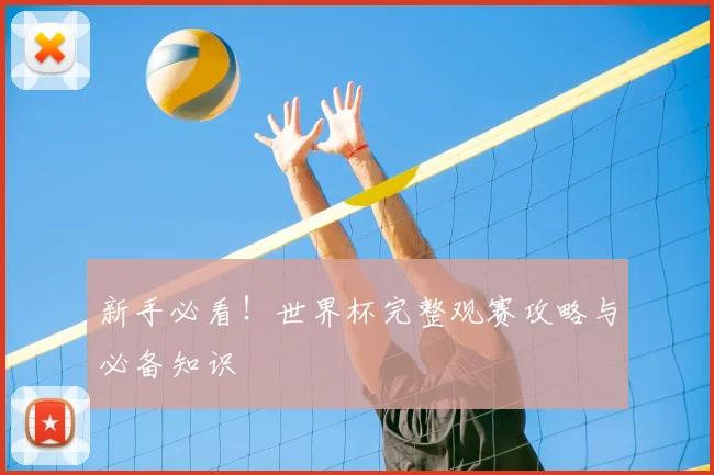 新手必看!世界杯完整观赛攻略与必备知识