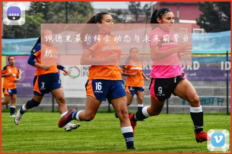 佩德里最新转会动态与未来前景分析